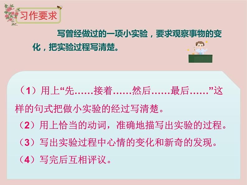 习作：我做了一项小实验  （课件）2021-2022学年语文三年级下册08