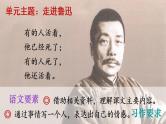 25《少年闰土》 课件+教案+导学案课件+练习+音视频素材