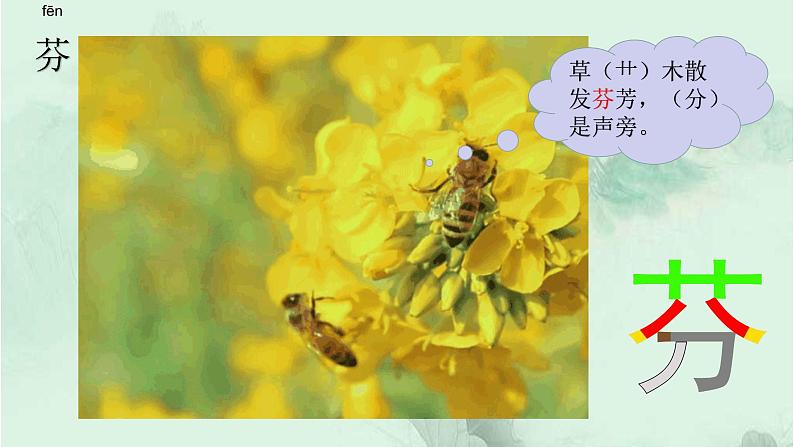 13. 花钟 趣味识字 生字教学课件PPT03