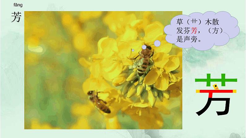 13. 花钟 趣味识字 生字教学课件PPT05