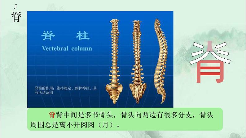 27. 漏 趣味识字 生字教学课件PPT05