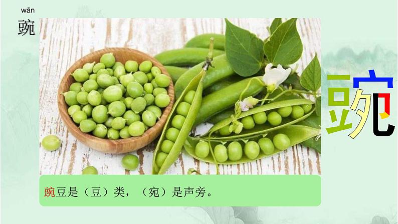 课文5一个豆荚里的五粒豆 精品PPT 趣味识字课件03