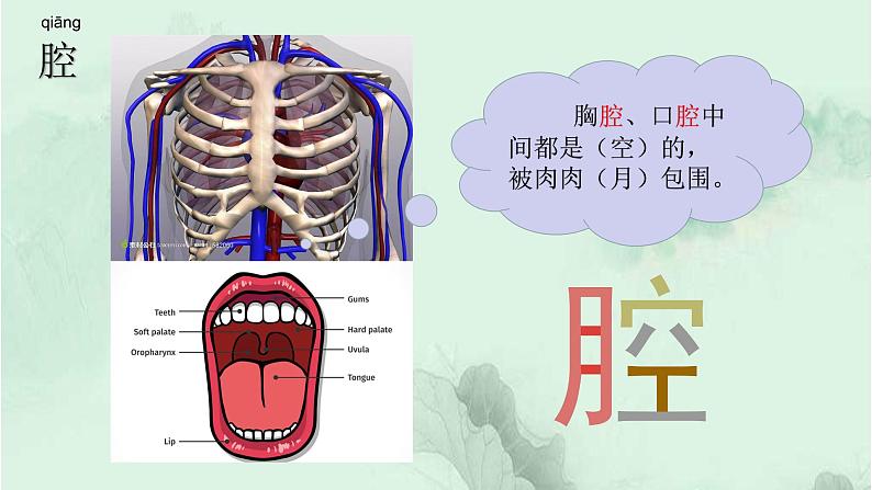 13. 猫 趣味识字 生字教学课件PPT08