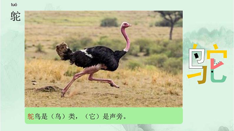 7. 什么比猎豹的速度更快 趣味识字 生字教学课件PPT03