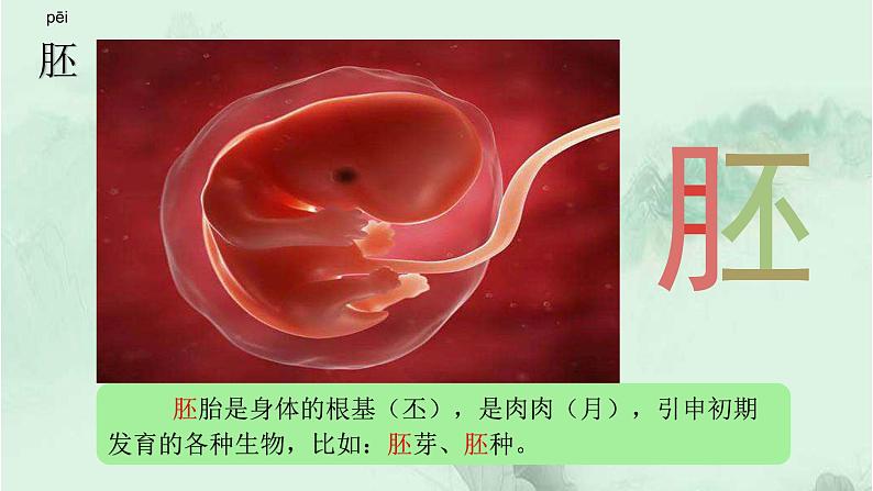 23. 童年的发现  趣味识字 生字教学课件PPT04