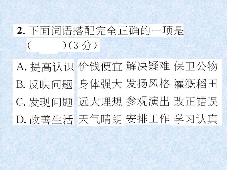 小升初语文总复习精练课件－第3章 词语 复习检测｜人教新课标 (共30张PPT)03