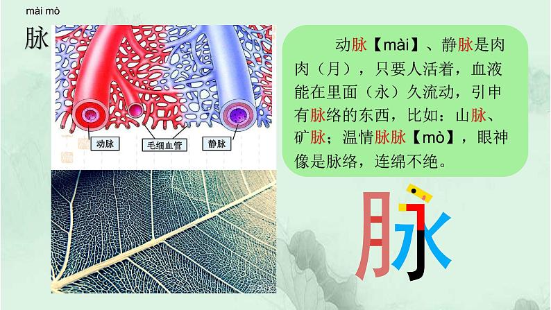 课文23“诺曼底号”遇难记 精品PPT 趣味识字课件第4页
