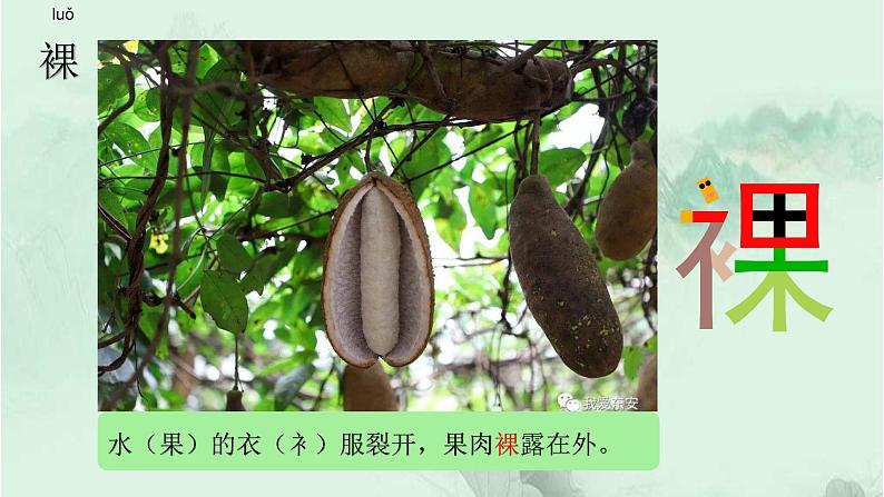 课文23“诺曼底号”遇难记 精品PPT 趣味识字课件第6页