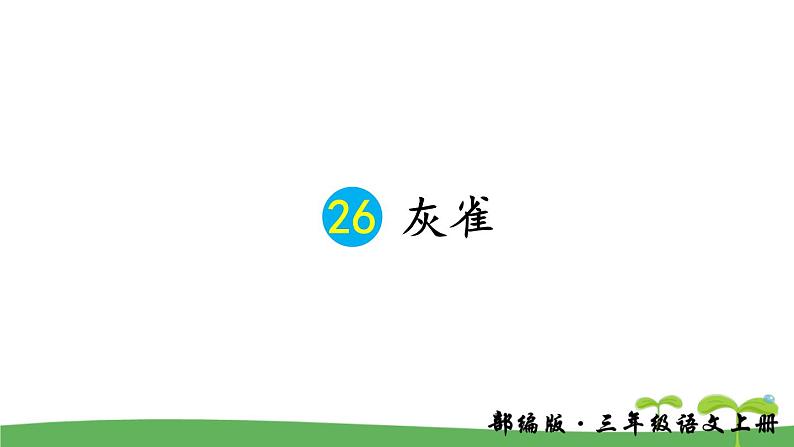 25  灰雀课件PPT02