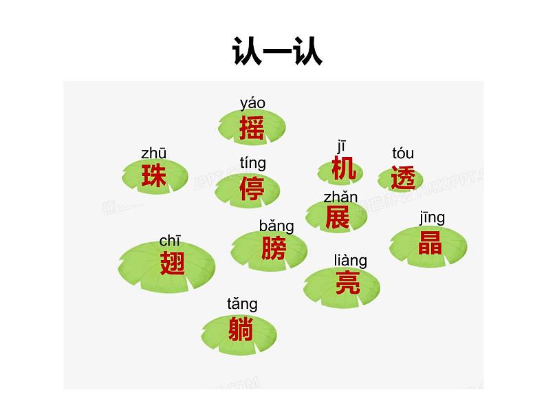 一年级语文下册课件-13 荷叶圆圆54-部编版（11张PPT）03