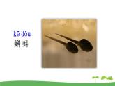 语文 园地六课件PPT