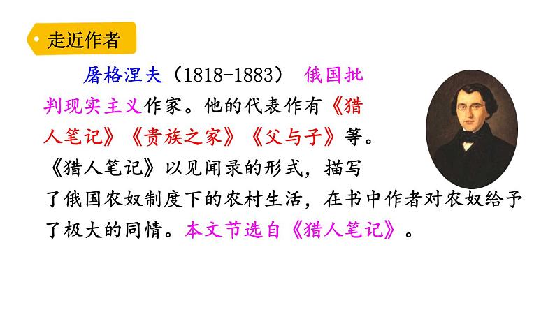 16、麻雀　（部编版四年级上册）　课件03