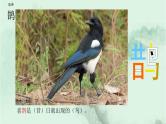 3. 古诗词三首 趣味识字 生字教学课件PPT