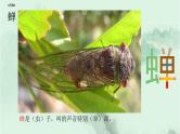 3. 古诗词三首 趣味识字 生字教学课件PPT
