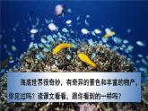 23 海底世界课件PPT