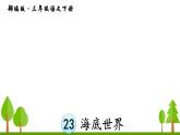 23 海底世界课件PPT