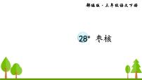 人教部编版三年级下册28* 枣核课前预习课件ppt