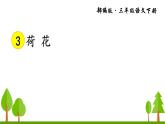 三下第3课 荷花课件PPT