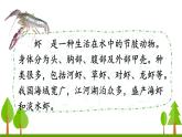 三下第15课小虾课件PPT