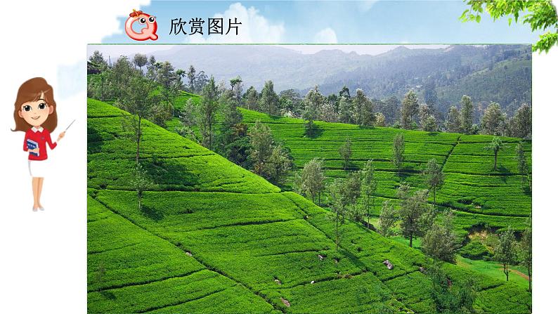 10《绿》课件（2课时）共50张PPT第2页