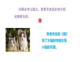 部编版四年级下册语文第四单元我的动物朋友 课件