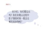 部编版小学语文四年级下册--25 挑山工课件+ 素材