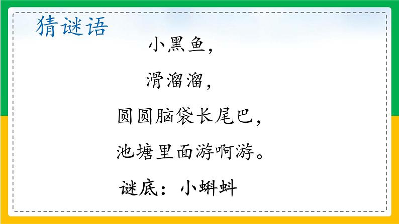 1.小蝌蚪找妈妈（第一课时）课件+教案03