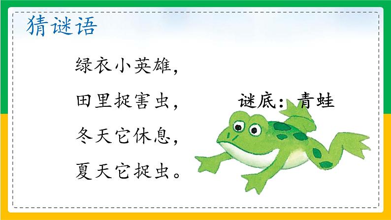 1.小蝌蚪找妈妈（第一课时）课件+教案04