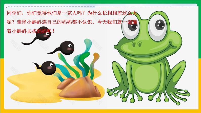 1.小蝌蚪找妈妈（第一课时）课件+教案05