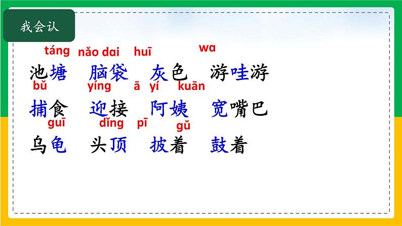 1.小蝌蚪找妈妈（第一课时）课件+教案07