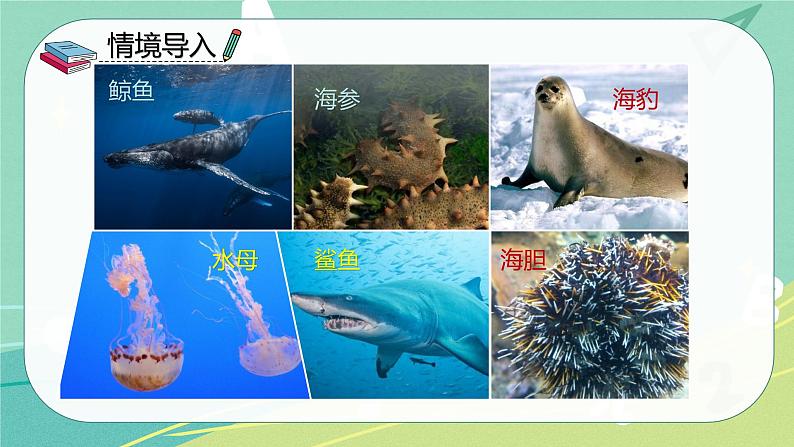 部编版六年级下册第五单元 16表里的生物课件PPT第3页