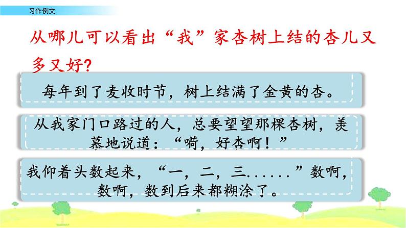 部编四年级上册《习作五：例文：我家的杏熟了-小木船》　课件06