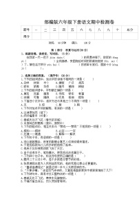 2021-2022学年 部编版六年级语文下册期中检测卷（含答案）