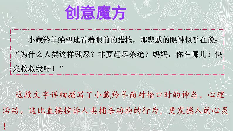 六年级语文期末作文专项——应用篇之保护环境（三）课件PPT第7页