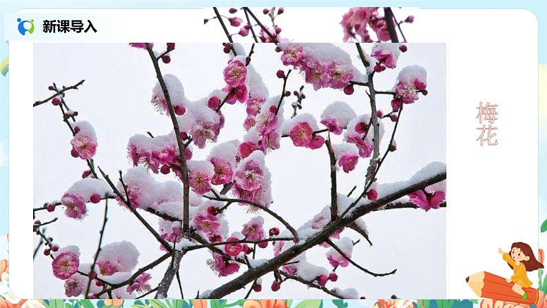 语文园地一（第二课时）课件+教案+同步练习02