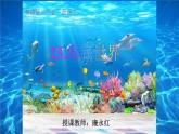 三下海底世界课件PPT