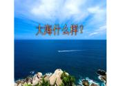 三下海底世界课件PPT
