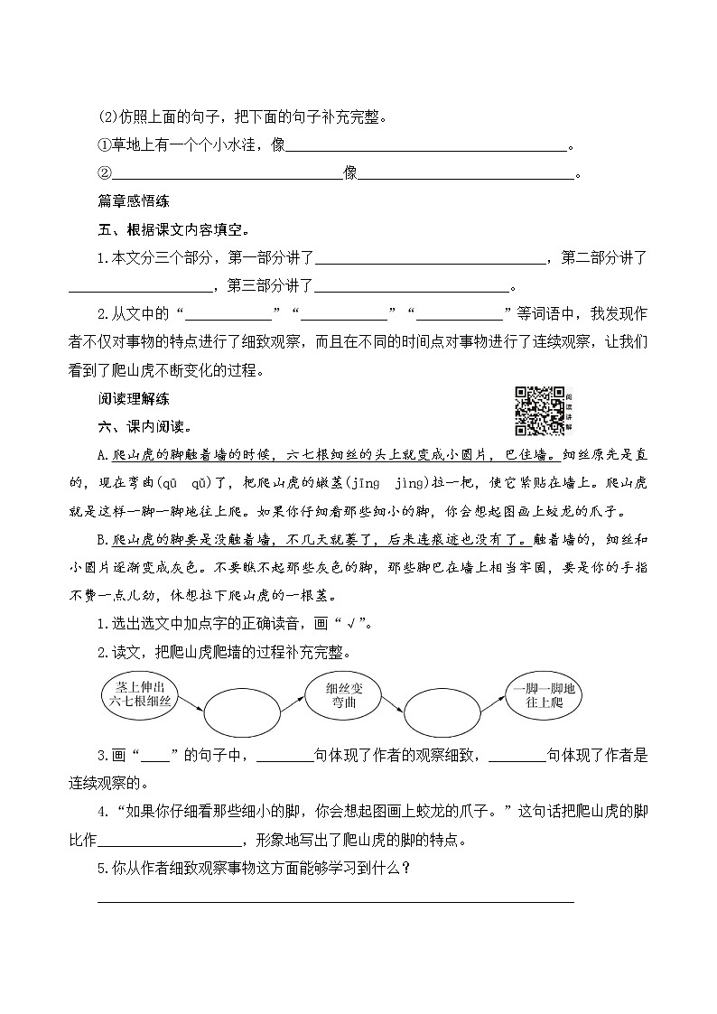 10《爬山虎的脚》课件PPT+教案+练习+学案课件+音视频素材02