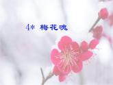 4* 梅花魂课件PPT