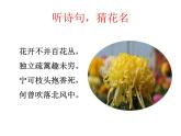 4* 梅花魂课件PPT