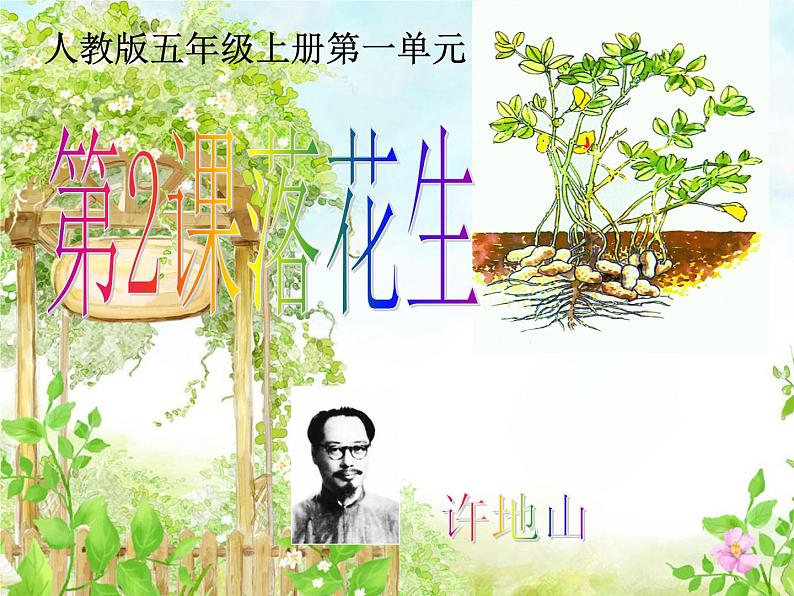 五年级语文上册课件-2.落花生-部编版01