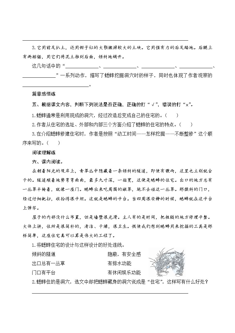 11《蟋蟀的住宅》课件PPT+教案+练习+学案课件+音视频素材02