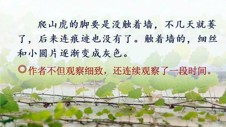 部编版语文四上  语文园地三  课件PPT+教案+练习+单元知识归纳+单元测评03