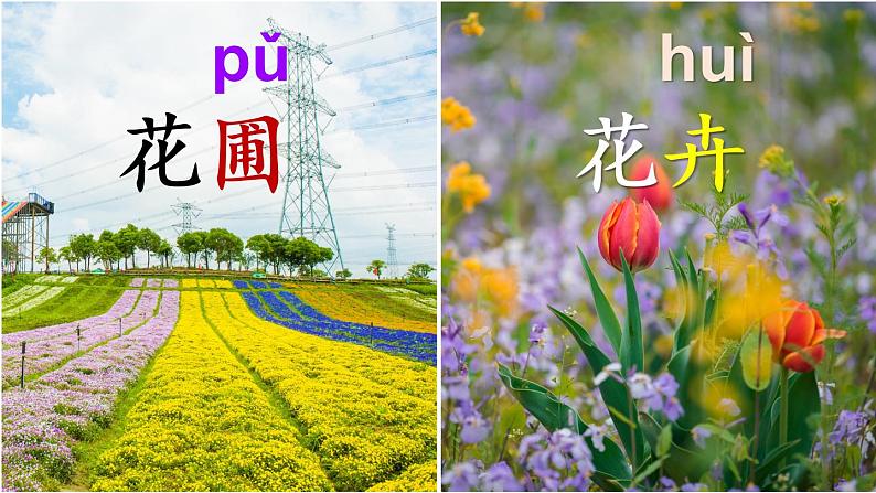 部编版语文四上  语文园地四  课件PPT+教案+练习+单元知识归纳+单元测评03