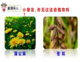 ３、部编二年级上册《植物妈妈有办法》　课件