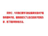 ３、部编二年级上册《植物妈妈有办法》　课件