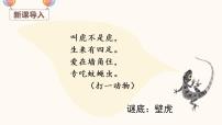 小学语文人教部编版一年级下册21 小壁虎借尾巴教学演示课件ppt