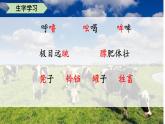 部编版五下《19.牧场之国》 课件-0716