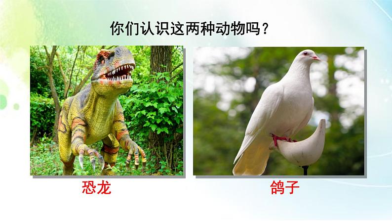 6、部编版四年级下册语文《飞向蓝天的恐龙》 课件01