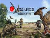 6、部编版四年级下册语文《飞向蓝天的恐龙》 课件